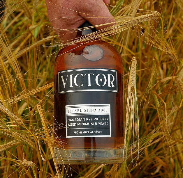 a hand grabbing a bottle of Victor Canadian Rye Whiskey. The bottle is surrounded by growing rye.